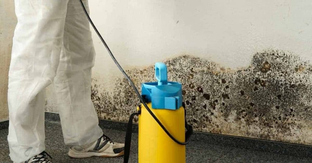 Snow Mold: DIY Guide, Tools, and Common Mistakes