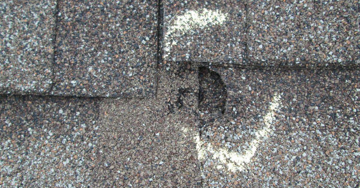 Who to Call for Roof Leak: DIY Guide, Tips, and Common Mistakes