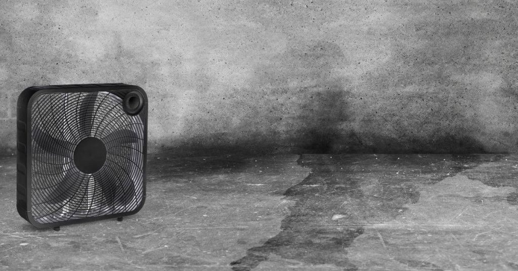 Box fan on concrete floor with dark moisture stains on wall