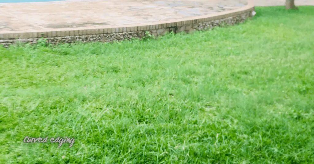Curved concrete garden edging between lawn and patio