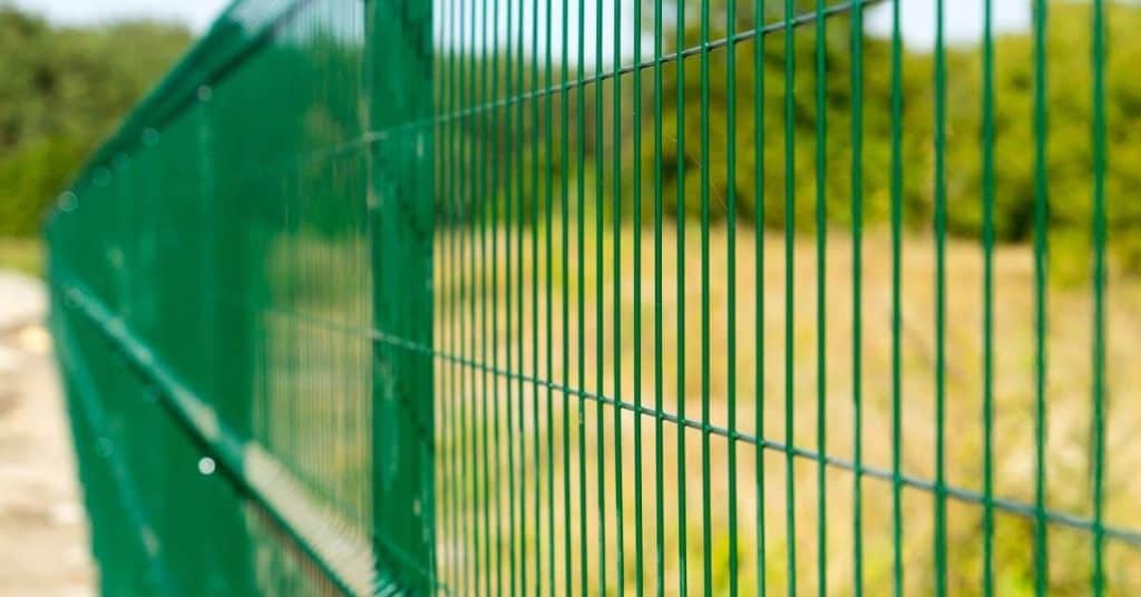 Green painted metal wire panel fence outdoors