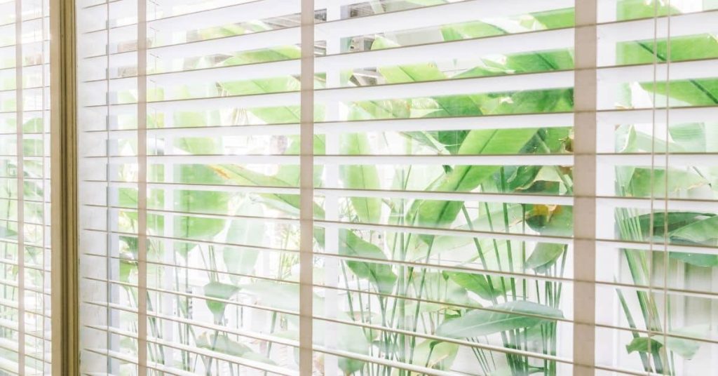 Indoor view through window blinds showing green plants outside