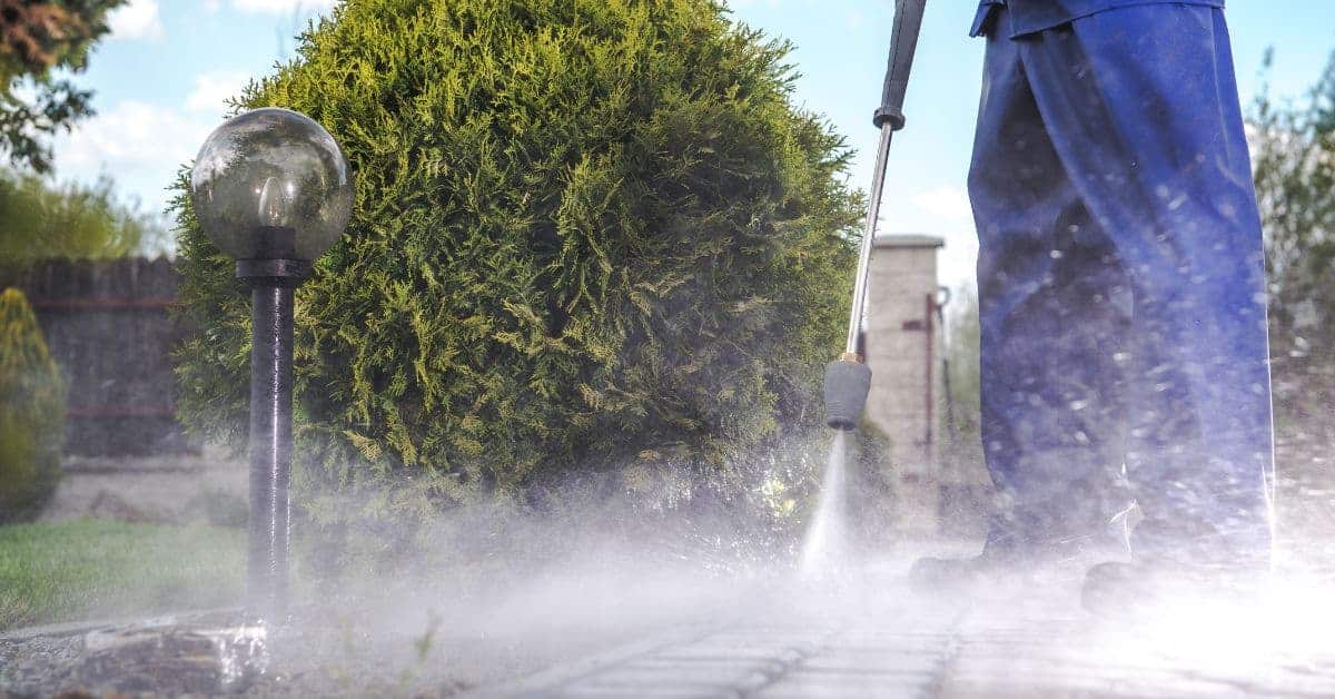 Person pressure washing concrete paving stones near green bush