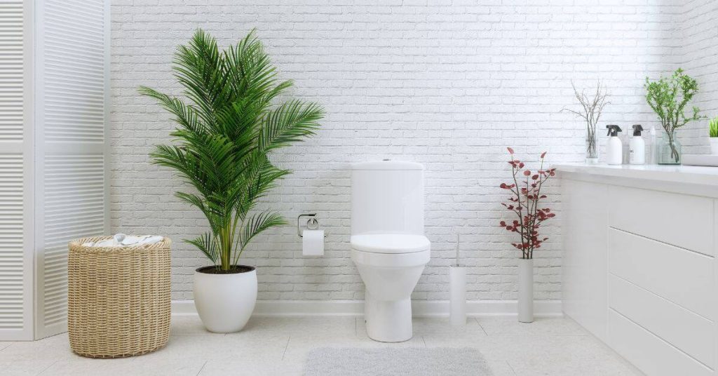 Modern white bathroom with toilet plants and wicker basket