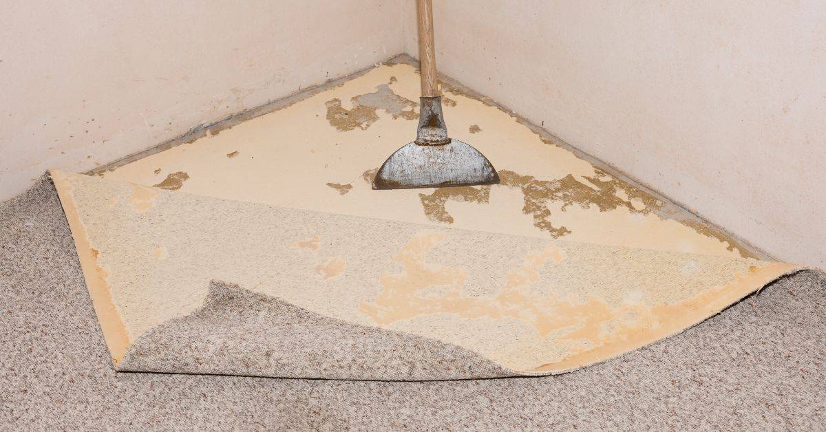 scraper tool removing old adhesive from floor corner