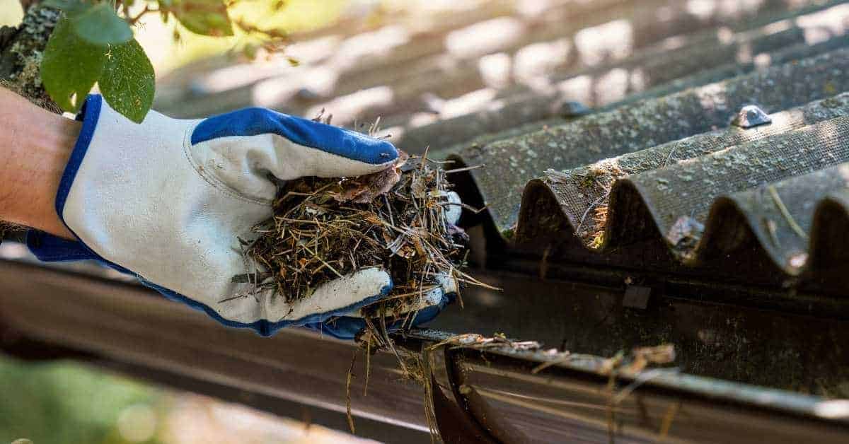 Gloved hand removing debris from roof gutter