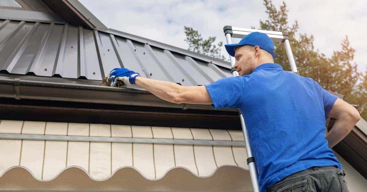 Man in blue shirt cleaning metal gutters on ladder