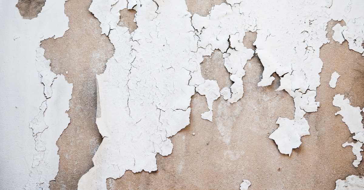 Close-up of white paint peeling off wall surface