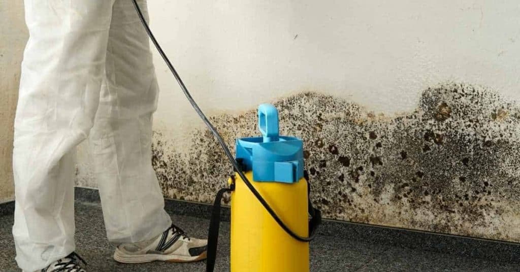 Person in protective suit spraying moldy wall near floor