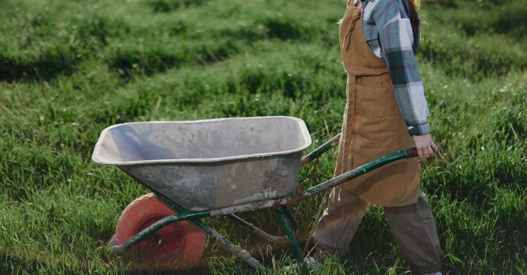 Person pushing empty wheelbarrow across grass