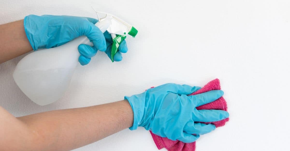 Hands wearing blue gloves spraying and wiping white wall