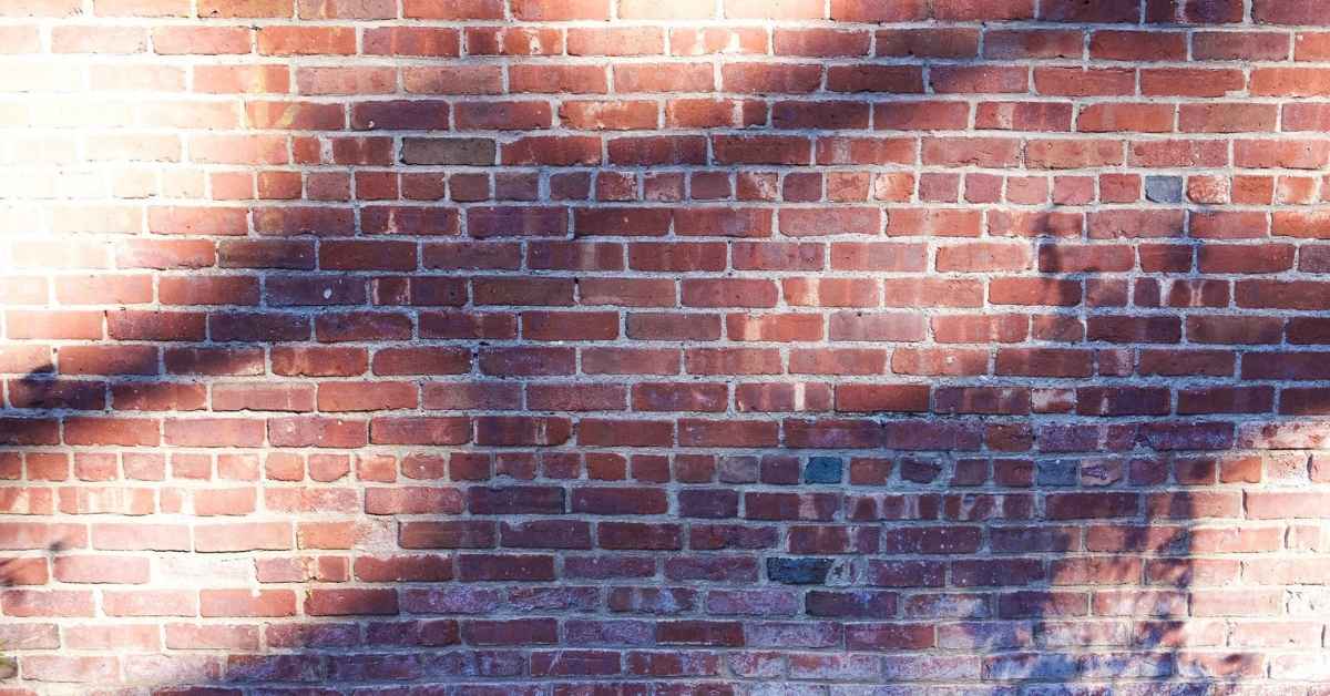 Red brick wall with shadows of trees