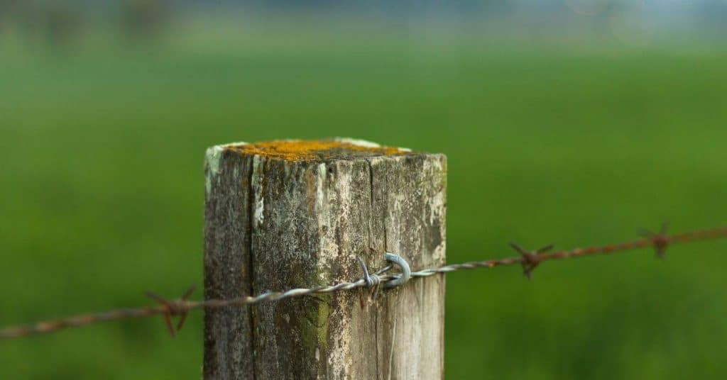 Weathered wooden fence post with rusty barbed wire attached