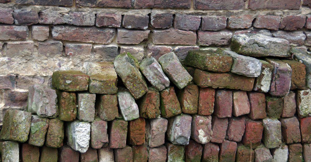 Loose weathered bricks displaced from old brick wall section