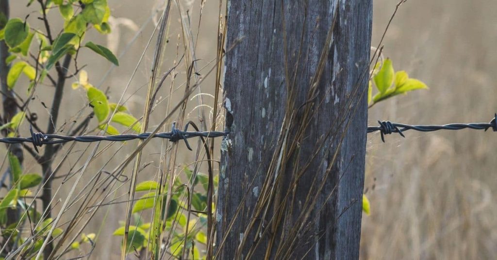 Close-up of weathered wooden fence post with barbed wire and dry grass