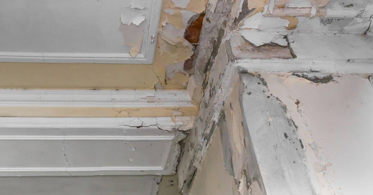 Ceiling corner with peeling plaster and crown molding